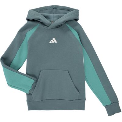 Felpe con cappuccio adidas Seasonal Essentials Colorblock Fleece Hoodie Kids Verde 7 / 8 anni Felpe con cappuccio adidas Seasonal Essentials Colorblock Fleece Hoodie Kids Verde 7 / 8 anni