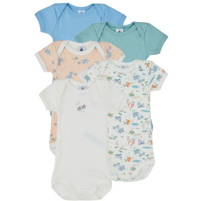 Petit Bateau Body bambino 5 BODIES US MC Multicolore 6 mesi Petit Bateau Body bambino 5 BODIES US MC Multicolore 6 mesi