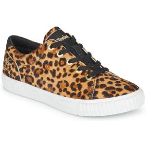 Timberland Sneakers basse SKYLA BAY LEATHER OXFORD Marrone 36 Timberland Sneakers basse SKYLA BAY LEATHER OXFORD Marrone 36