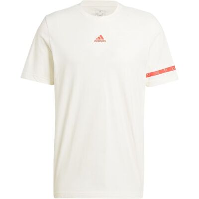 Adidas Uomo BL COL SS T OFFWHITE - IS2870 bianco sporco M Adidas Uomo BL COL SS T OFFWHITE - IS2870 bianco sporco M