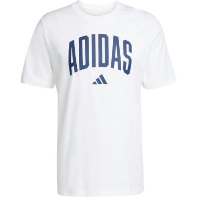 Adidas Uomo M COLLEGIATE Tee - JM6416 bianco XXL Adidas Uomo M COLLEGIATE Tee - JM6416 bianco XXL