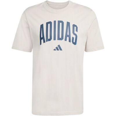 Adidas Uomo M COLLEGIATE TEE - GREY - JM6415 grigio XS Adidas Uomo M COLLEGIATE TEE - GREY - JM6415 grigio XS