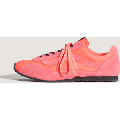 Vans Sneakers Premium Super Lowpro, Uomo, Rosa, Taglia: 36.5 Vans Sneakers Premium Super Lowpro, Uomo, Rosa, Taglia: 36.5