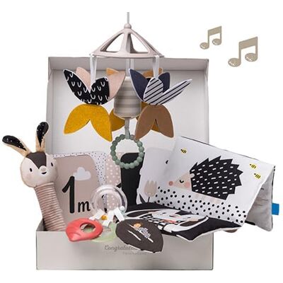 Taf Toys Confezione regalo bianco & nero per neonati Taf Toys Confezione regalo bianco & nero per neonati
