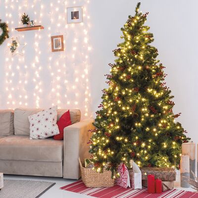 Galileo <p>Albero di Natale con 700 led, circa 1000 rami h. 210 cm con bacche rosse e pigne, Paris Santa's Hous</p> Galileo <p>Albero di Natale con 700 led, circa 1000 rami h. 210 cm con bacche rosse e pigne, Paris Santa's Hous</p>