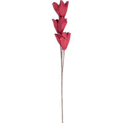 Galileo <p>Fiori di magnolia artificiali rossi h. 104 cm, Sibilla</p> Galileo <p>Fiori di magnolia artificiali rossi h. 104 cm, Sibilla</p>