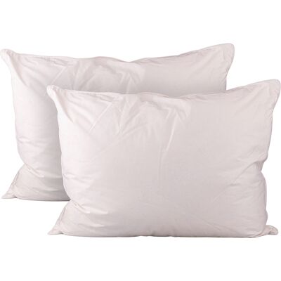 Galileo <p>Set 2 guanciali 51x66 cm in piuma, Sibilla</p> Galileo <p>Set 2 guanciali 51x66 cm in piuma, Sibilla</p>