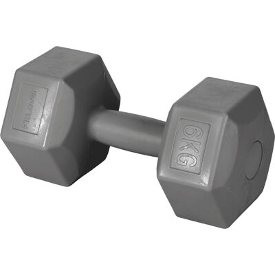 FITLOVER - Manubrio colorato 1-6 Kg - Rivestito in plastica - Esagonale - Dumbbell FITLOVER - Manubrio colorato 1-6 Kg - Rivestito in plastica - Esagonale - Dumbbell