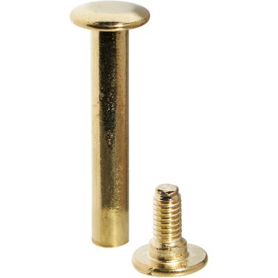 SPRINTIS Schenk GmbH & Co. KG 100 Unità - Viti sepolte, ottonato manicotto liscio, vite con scanalatura 34 mm, Metallo, oro SPRINTIS Schenk GmbH & Co. KG 100 Unità - Viti sepolte, ottonato manicotto liscio, vite con scanalatura 34 mm, Metallo, oro
