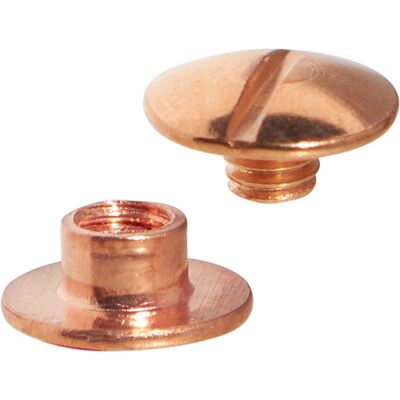 SPRINTIS Schenk GmbH & Co. KG 100 Unità - Viti sepolte, ramato 3,5 mm, Metallo, rame SPRINTIS Schenk GmbH & Co. KG 100 Unità - Viti sepolte, ramato 3,5 mm, Metallo, rame