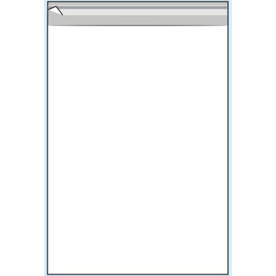 SPRINTIS 100 Unità - Buste con patella di chiusura, plastica OPP, trasparente 165 x 230 mm - C5 SPRINTIS 100 Unità - Buste con patella di chiusura, plastica OPP, trasparente 165 x 230 mm - C5