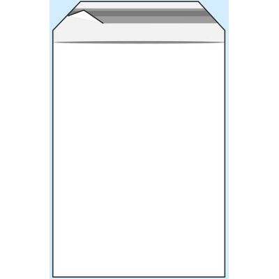 SPRINTIS 100 Unità - Buste con patella di chiusura permanente, plastica OPP, trasparente 250 x 350 mm SPRINTIS 100 Unità - Buste con patella di chiusura permanente, plastica OPP, trasparente 250 x 350 mm