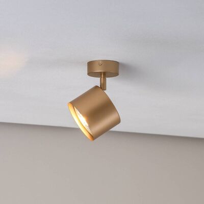 Faretto da soffitto Chloe orientabile 1 luce, oro Argon, dimmerabile, Ottone / Oro, Soggiorno / Sala da pranzo, Metallo, Moderno Faretto da soffitto Chloe orientabile 1 luce, oro Argon, dimmerabile, Ottone / Oro, Soggiorno / Sala da pranzo, Metallo, Moderno