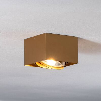 Faretto da soffitto Riesta, oro, 1 luce Riesta Argon, dimmerabile, Ottone / Oro, Soggiorno / Sala da pranzo, Metallo, Moderno, Faretto alogeno Faretto da soffitto Riesta, oro, 1 luce Riesta Argon, dimmerabile, Ottone / Oro, Soggiorno / Sala da pranzo, Metallo, Moderno, Faretto alogeno