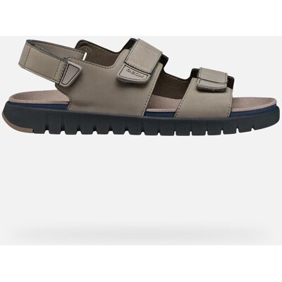 Geox Scarpe Flextride S Uomo Taupe 39 Geox Scarpe Flextride S Uomo Taupe 39