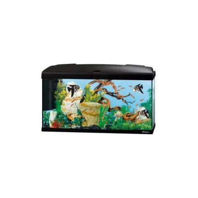 "Acquario capri 80 nero con led - 80 x 31.5 x h 46.5 cm, 100 l - ferplast" "Acquario capri 80 nero con led - 80 x 31.5 x h 46.5 cm, 100 l - ferplast"