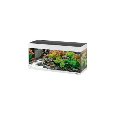 "Acquario dubai 100 bianco con led -101 x 41 x h 53 cm - 190 l - ferplast" "Acquario dubai 100 bianco con led -101 x 41 x h 53 cm - 190 l - ferplast"