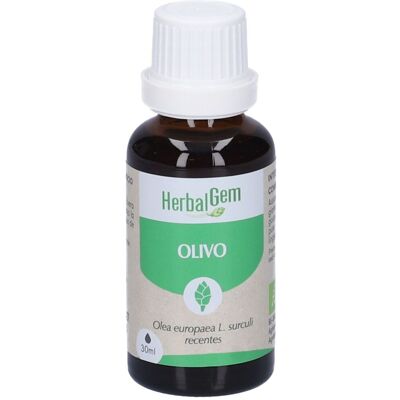 Herbalgem Italia Srl - Olivo Giovani Getti Herbalgem Italia Srl - Olivo Giovani Getti