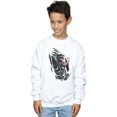 Marvel Felpe Inside Me Bianco 12 anni Marvel Felpe Inside Me Bianco 12 anni