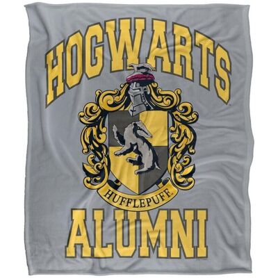 Harry Potter Plaid, coperte 147 cm x 91 cm TV38316 Grigio Unica Harry Potter Plaid, coperte 147 cm x 91 cm TV38316 Grigio Unica