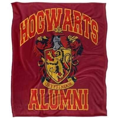 Harry Potter Plaid, coperte 147 cm x 91 cm TV38556 Rosso Unica Harry Potter Plaid, coperte 147 cm x 91 cm TV38556 Rosso Unica