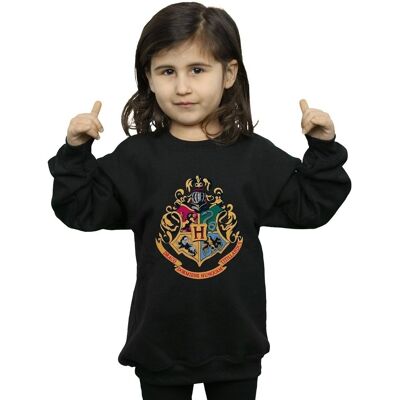 Harry Potter Felpa Hogwarts Nero 12 anni Harry Potter Felpa Hogwarts Nero 12 anni