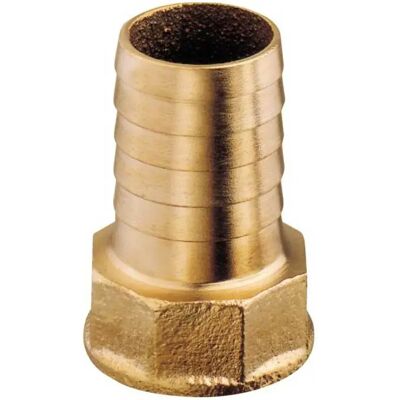 Plastimo Connettore Dritto F 1/4´´ 10 Mm Brass One Size Plastimo Connettore Dritto F 1/4´´ 10 Mm Brass One Size