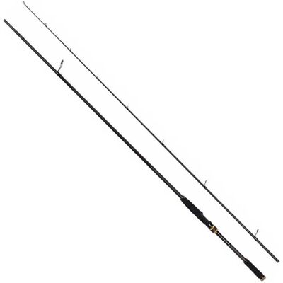 Seika Canna Spinning Sf+ Sucubus Eva 2.90 m Seika Canna Spinning Sf+ Sucubus Eva 2.90 m