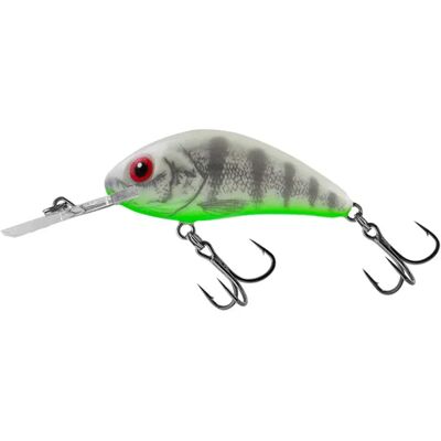 Salmo Crankbait Rattlin´ Hornet 3.1g 35 Mm Holo Red Perch One Size Salmo Crankbait Rattlin´ Hornet 3.1g 35 Mm Holo Red Perch One Size