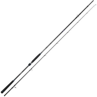 Sakura Canna Da Shore Jigging Ryokan Sw Black 3.00 m Sakura Canna Da Shore Jigging Ryokan Sw Black 3.00 m