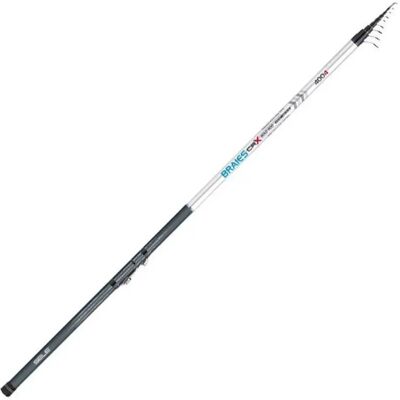 Sele Canna Bolognese Braies Silver / Black 6.00 m Sele Canna Bolognese Braies Silver / Black 6.00 m