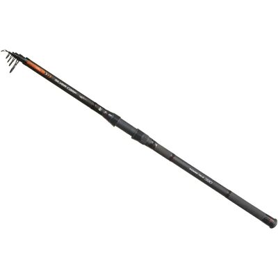 Carp Expert Canna Carpfishing Silver Carp Power Tele Black 3.90 m Carp Expert Canna Carpfishing Silver Carp Power Tele Black 3.90 m
