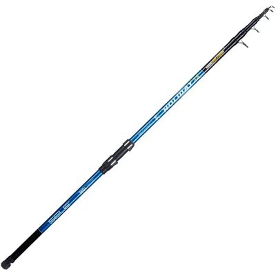 Sele Canna Surfcasting Holiday Black 3.00 m Sele Canna Surfcasting Holiday Black 3.00 m