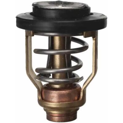 Sierra Termostato Yamaha 18-3525 Grey One Size Sierra Termostato Yamaha 18-3525 Grey One Size