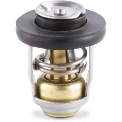 Sierra Termostato Yamaha Astk6e51241130 Grey One Size Sierra Termostato Yamaha Astk6e51241130 Grey One Size