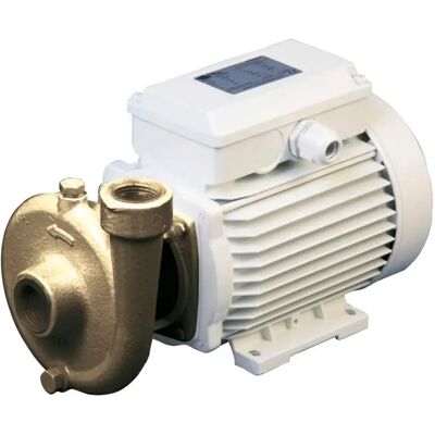 Osculati Pompa Centrifuga 2800rpm 40l/min 1.2a 230v 150w White / Bronze One Size Osculati Pompa Centrifuga 2800rpm 40l/min 1.2a 230v 150w White / Bronze One Size