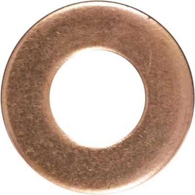 Jbm Rondella Ø15.5x7.5x1.5mm Land Rover Ref 53464 30 Pezzi Copper One Size Jbm Rondella Ø15.5x7.5x1.5mm Land Rover Ref 53464 30 Pezzi Copper One Size