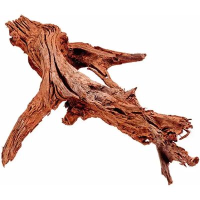 Radice di mangrovie Amazonas - 25-35cm Decorazione acquario Radice di mangrovie Amazonas - 25-35cm Decorazione acquario