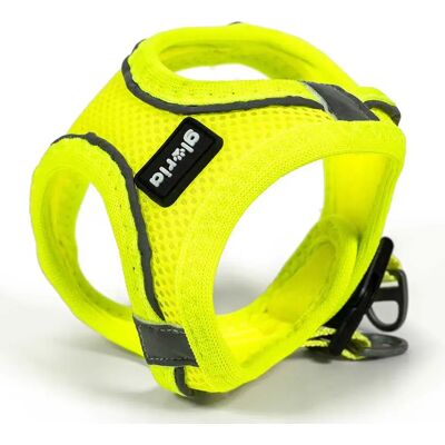Imbracatura per Cani Gloria Trek Star Giallo - Regolabile, Leggero Imbracatura per Cani Gloria Trek Star Giallo - Regolabile, Leggero