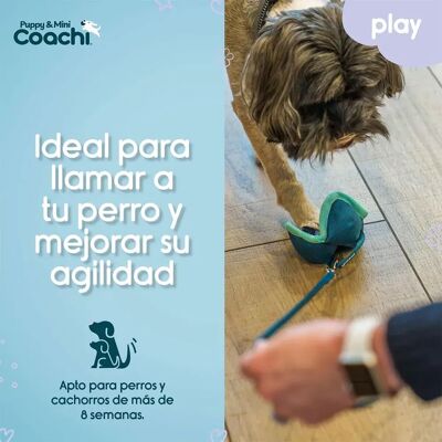 Imbracatura per Cane Coachi - Animale: Cane, Tipo: Imbracatura, Materiale: Poliestere Imbracatura per Cane Coachi - Animale: Cane, Tipo: Imbracatura, Materiale: Poliestere