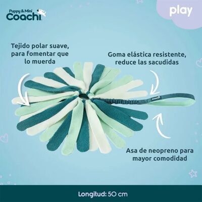 Imbracatura per cani Coachi - Imbracatura per cani Imbracatura per cani Coachi - Imbracatura per cani