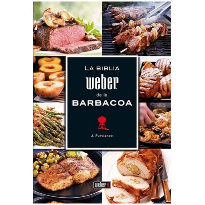 Weber Ricettario Per Barbecue Della Bibbia Spagnolo Multicolor One Size Weber Ricettario Per Barbecue Della Bibbia Spagnolo Multicolor One Size
