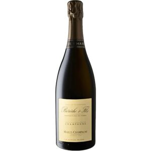 Bereche et Fils Champagne Extra Brut Grand Cru Mailly 2017