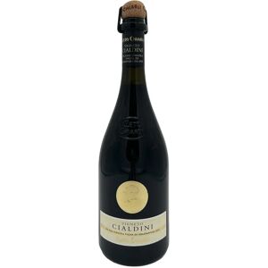 Chiarli Cleto Lambrusco Grasparossa di Castelvetro 'Vigneto Cialdini' Cleto Chiarli 2023