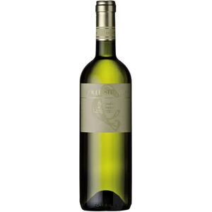 Collestefano Verdicchio di Matelica 2022 37.5cl