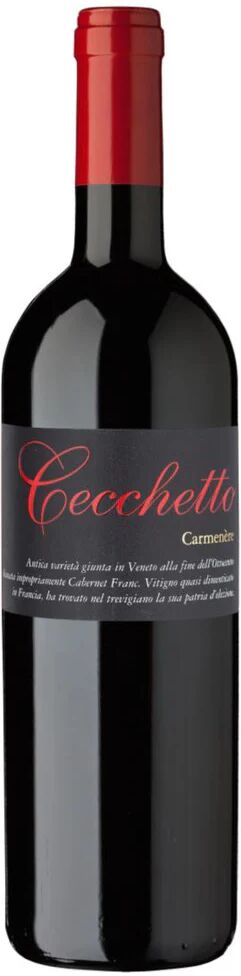 Cecchetto Giorgio Carmenere Giorgio Cecchetto 2022