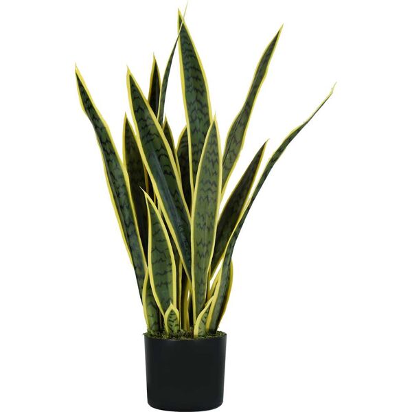 king home p2150075 pianta sansevieria h. 75 cm 21 foglie vaso con muschio - p2150075