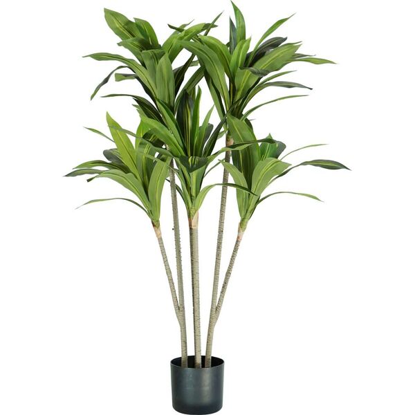 king home p2150125 pianta dracaena h. 130 cm 88 foglie vaso con muschio - p2150125