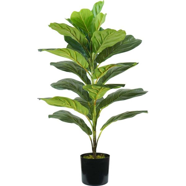 king home p2150569 pianta ficus lyrata h. 75 cm 21 foglie vaso con muschio - p2150569