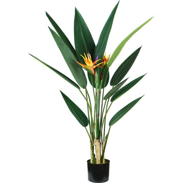 king home p2150598 pianta strelitzia h. 120 cm 12 foglie + 2 fiori vaso con muschio - p2150598